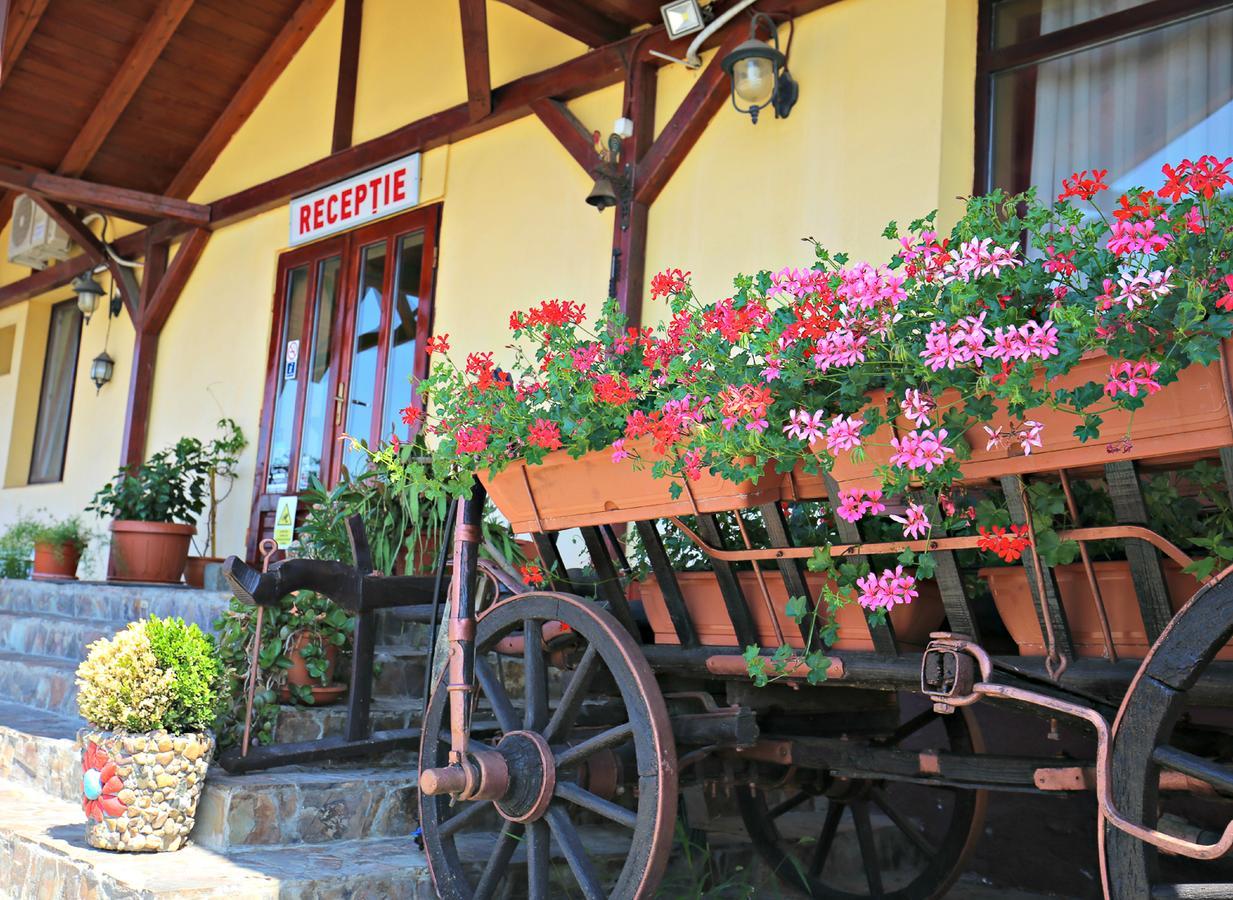 Pension Varadia Oradea Exterior photo